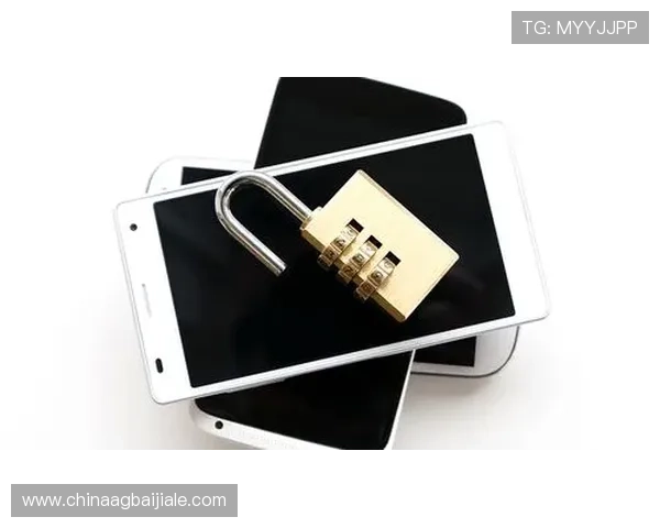 云顶网站网址安全访问指南，保障用户账号信息安全的详细操作流程